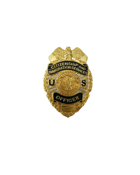 CIS OFFICER LAPEL PIN