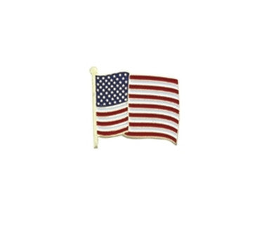 US FLAG PIN, WAVY