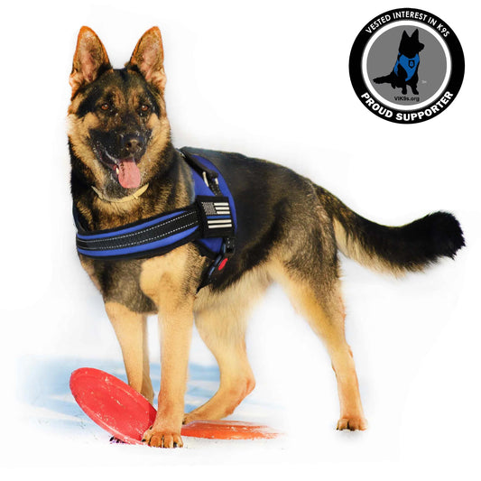 BLUE LINE DOG HARNESS